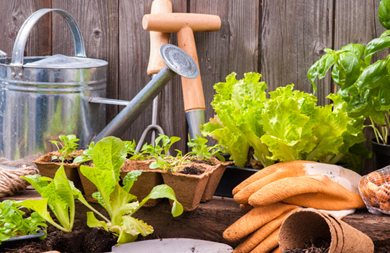 ATTREZZATURE DA GIARDINAGGIO